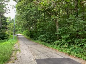 【黒姫保養地】1筆353坪の土地！並びの2区画（同時購入可）♪信濃町I.Cから約3kmの定住者が多いエリア☆野尻 黒姫山【土地-57】のサムネイル