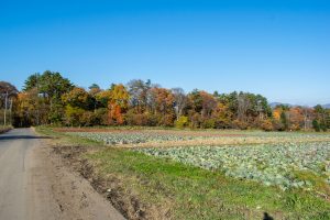 眺望抜群、隠れ家的コンパクトな一軒家☆柏原 黒姫【No.303】のサムネイル