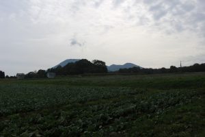 隣地は広々キャベツ畑