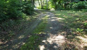 国道もI.Cも近い！利便性の良い土地♪☆野尻【土地-52】