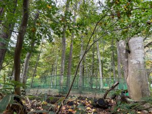【黒姫保養地】緑に囲まれて暮らす生活♪☆野尻 黒姫山【土地-60】のサムネイル