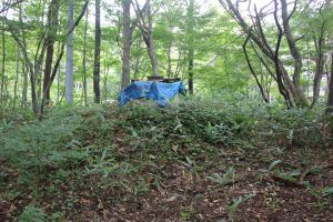 上水道は井戸水