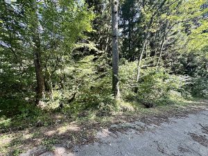 【黒姫保養地】278.29 坪！木々に癒やされる☆柏原 黒姫山【土地-58】のサムネイル