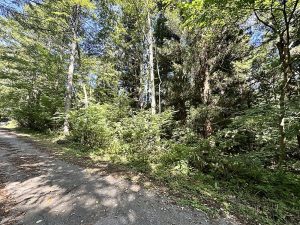 【黒姫保養地】278.29 坪！木々に癒やされる☆柏原 黒姫山【土地-58】のサムネイル