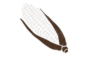 とうもろこしのイラスト