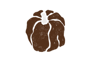 ぼたごしょうのイラスト