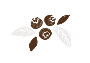 ブルーベリーのイラスト
