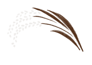 米のイラスト
